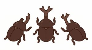 A picture of three male rhinoceros beetles.